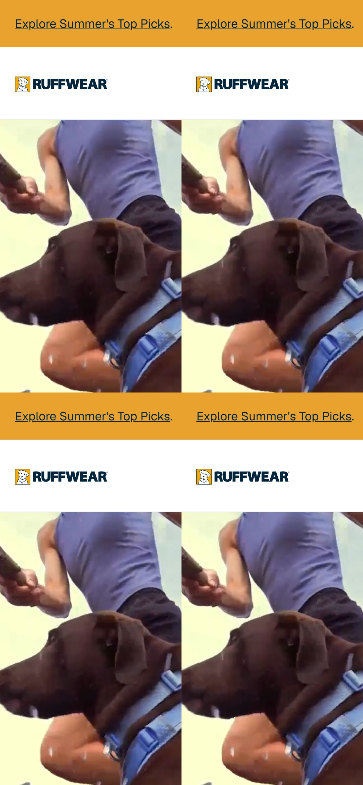 Ruffwear — Best Practice