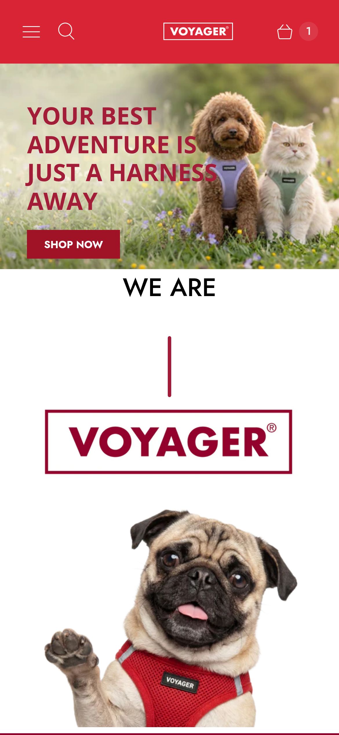 Voyager — Current State